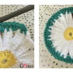 Daisy Coasters Free Crochet Pattern