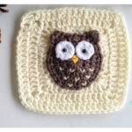 Woodland Owl Square Free Crochet Pattern