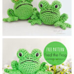 Fred the Frog Free Crochet Pattern