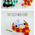 Wizarding Chick Amigurumi Free Crochet Pattern