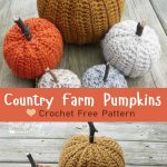Country Farm Crochet Pumpkins Free Crochet Pattern
