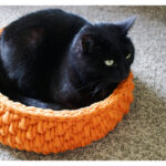 Crochet Pet Cat Bed Free Pattern