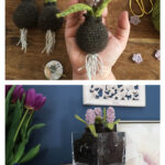 Hyacinth Bulb Flower Crochet Free Pattern