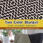 The “Two Steps Beyond” blanket Crochet Free Pattern