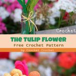 The Tulip Flower Free Crochet Pattern