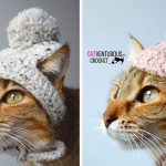 Narby Pom Pom Cat Hat Free Crochet Pattern