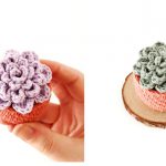 Succulent Planter Free Crochet Pattern