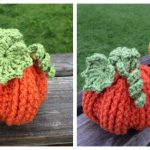 Textured Pumpkin Pouch Free Crochet Pattern