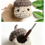 Acorn Container Storage Box Free Crochet Pattern